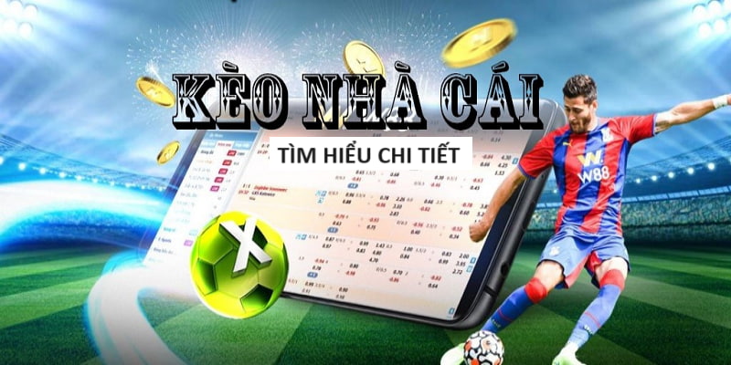 Các Cổng Game Cá Cược Uy Tín - So Sánh Cổng Game An Toàn Các Cổng Game Cá Cược Uy Tín - So Sánh Cổng Game An Toàn
